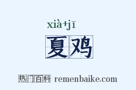 夏鸡是什么意思的图片
